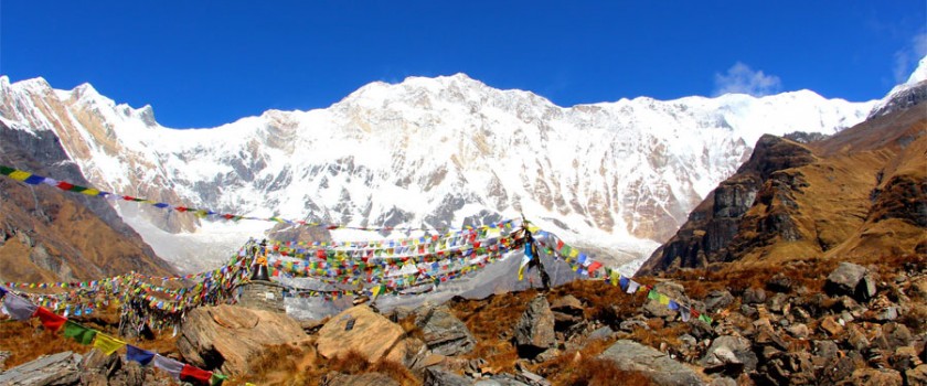 ABC Trek 7 Days