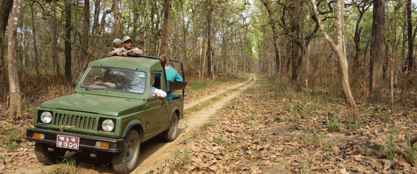 Chitwan Tour Cost