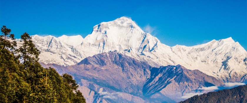 Kathmandu to Poon Hill Trek cost