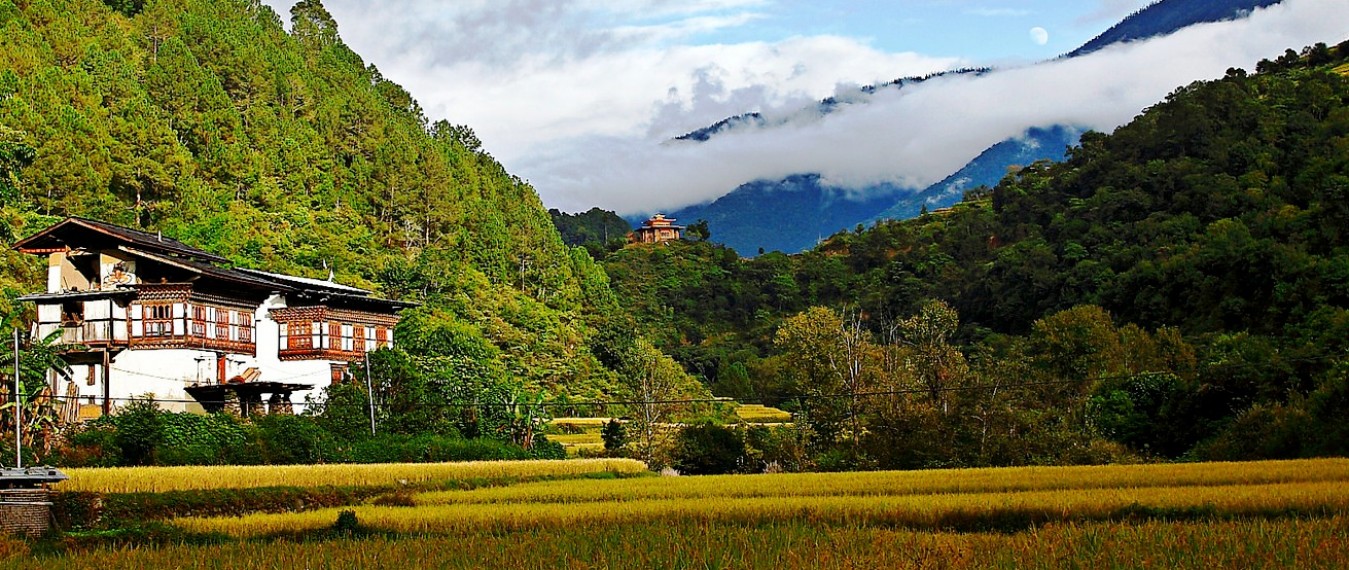 Gangtey Trek: 9 Days Trekking in Bhutan