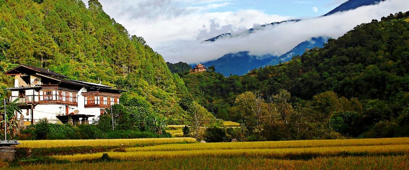 Gangtey Trek: 9 Days Trekking in Bhutan