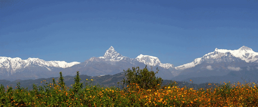 One Week Nepal Honeymoon Tour Package