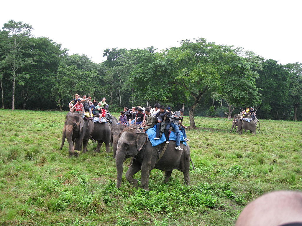 Nepal Family Tour