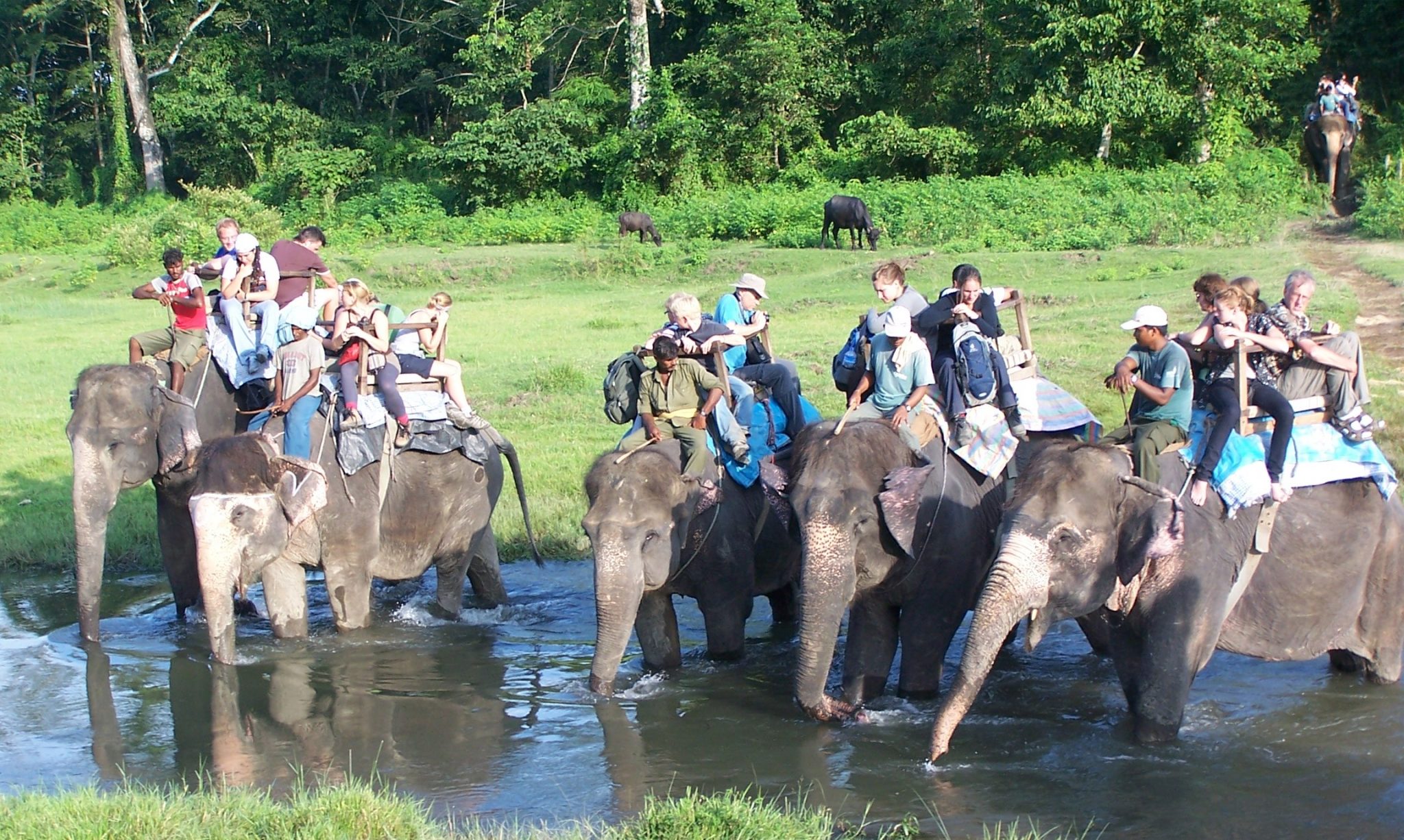 nepal-adventure-travel-elephant-safari-chitwan - Excellent Himalaya