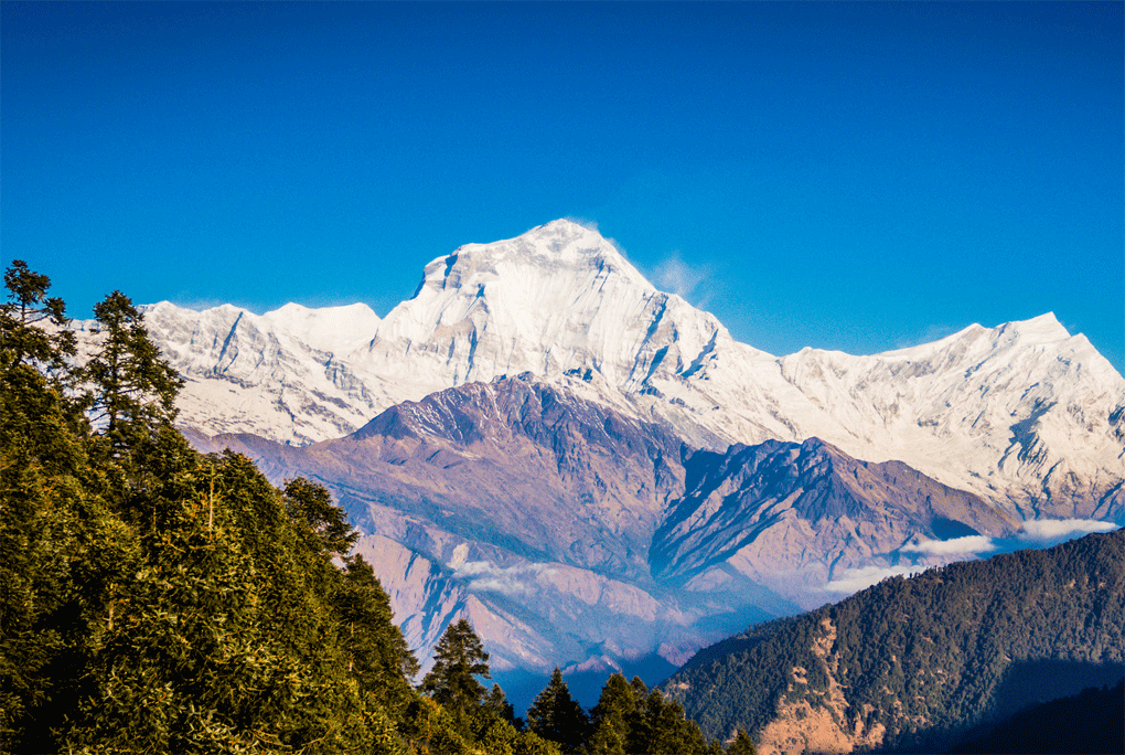 Nepal Trekking: 14 THINGS TO KNOW BEFORE YOU GO!