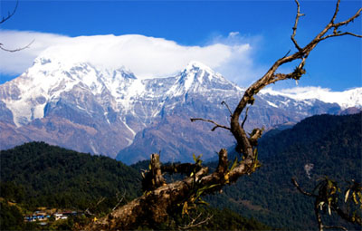 Australian Camp Trek Nepal