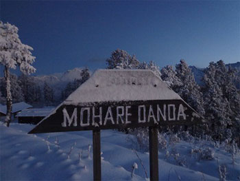 Mohare Danda Trek: Community Lodge Trek in Nepal
